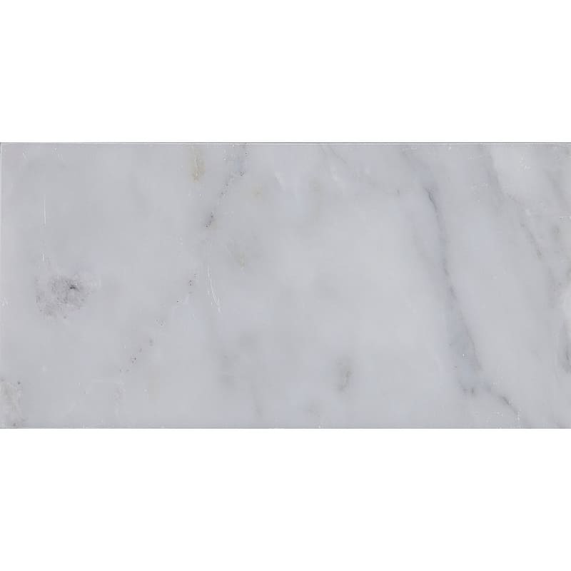 Marble 3x6-inch Polished Field Tile in First Snow Elegance - 3x6