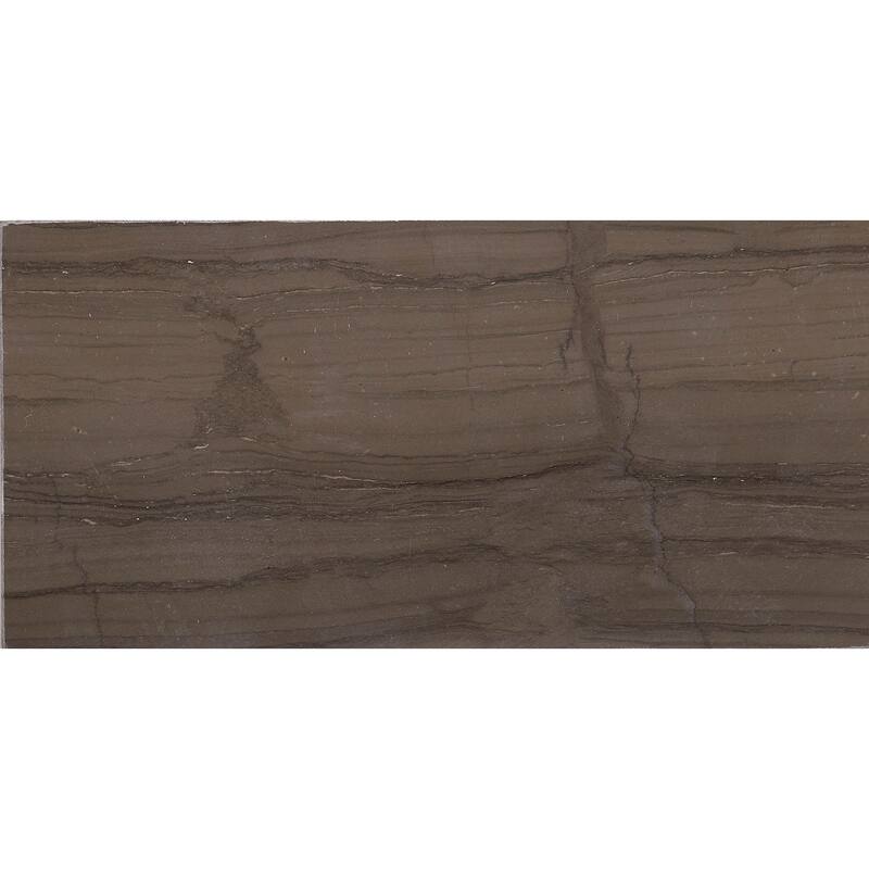 Marble 3x6-inch Polished Field Tile in Silver Screen - 3x6