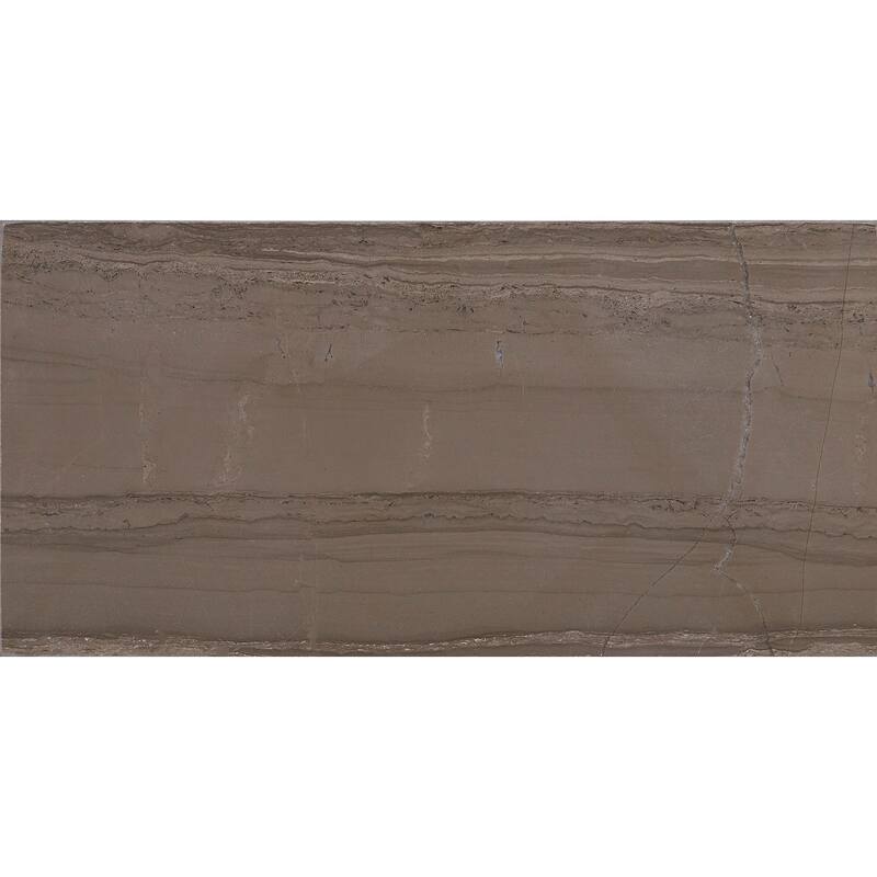 Marble 3x6-inch Polished Field Tile in Silver Screen - 3x6