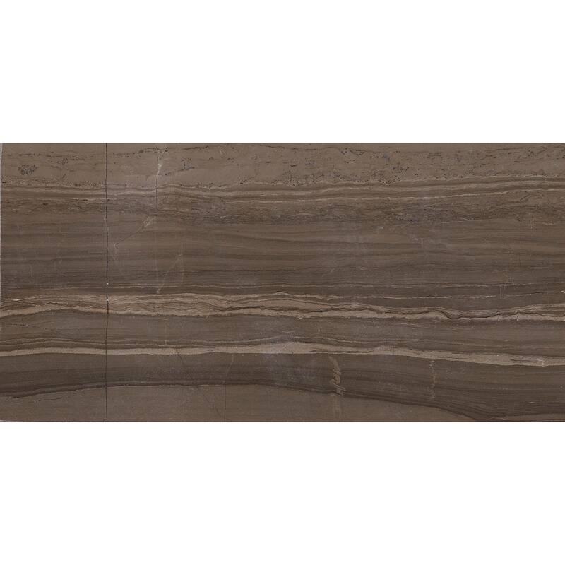 Marble 3x6-inch Polished Field Tile in Silver Screen - 3x6