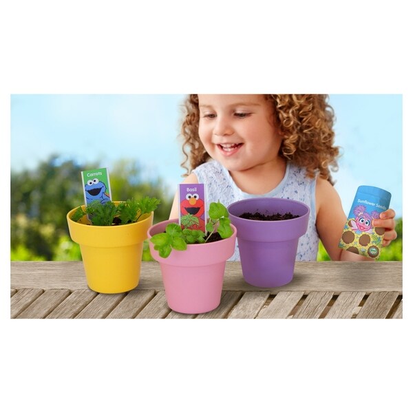 green toys sesame street