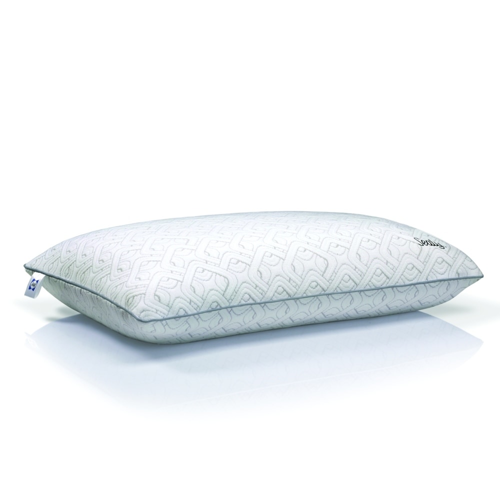 Shop Sealy Bed Pillows on DailyMail SealySealy Memory Foam Bed Pillow