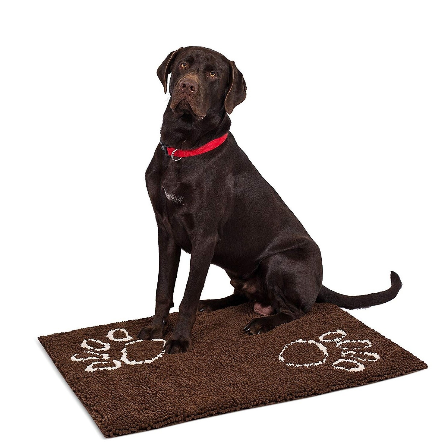 Shop Internet S Best Chenille Dog Doormat 35 X 25 Absorbent