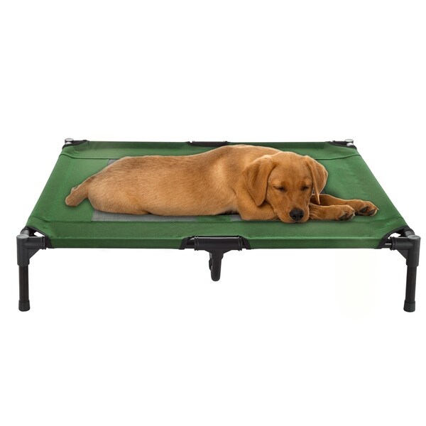 portable elevated dog bed