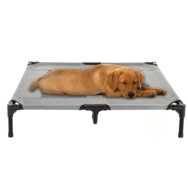 petmaker elevated pet bed