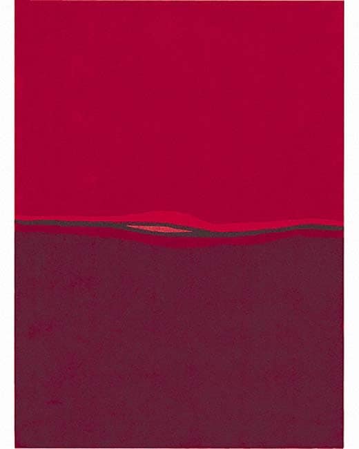 Nourison Hand tufted Red Gallery Rug (56 X 76) (redPattern STRIPEMeasures 3/4 inch thickTip We recommend the use of a non skid pad to keep the rug in place on smooth surfaces.All rug sizes are approximate. Due to the difference of monitor colors, some r