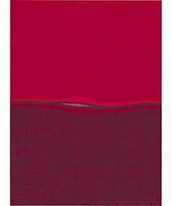 Nourison Hand tufted Red Gallery Rug (5'6 x 7'6) 5x8   6x9 Rugs