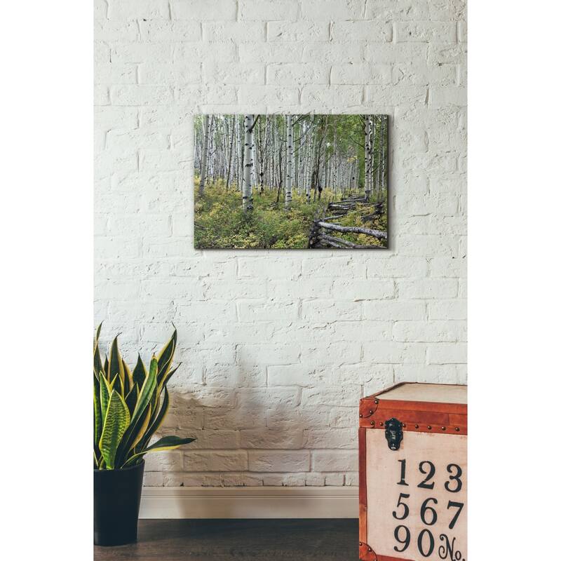 Epic Graffiti "Aspen Grove Rail Fence," Giclee Canvas Wall Art, 18"x26"