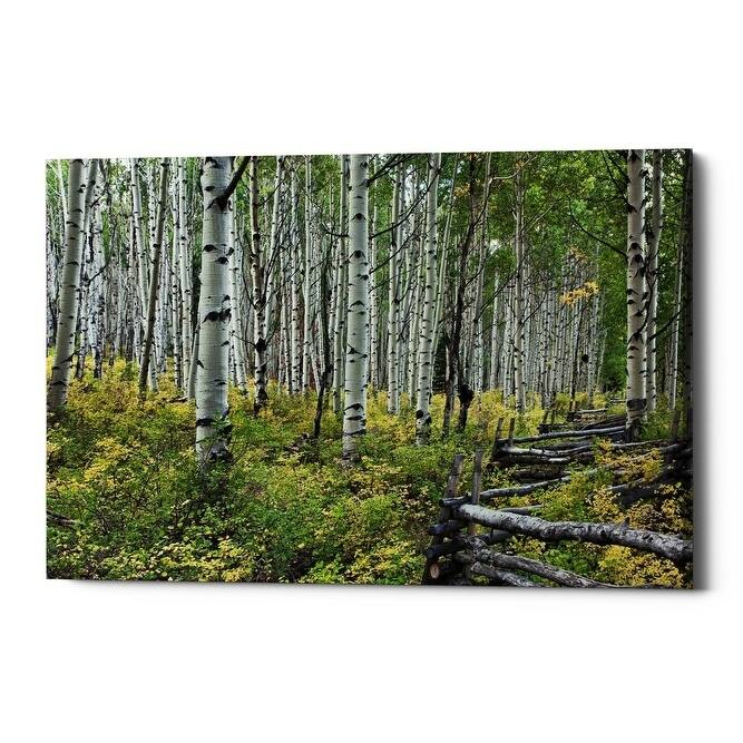 Epic Graffiti "Aspen Grove Rail Fence," Giclee Canvas Wall Art, 18"x26"