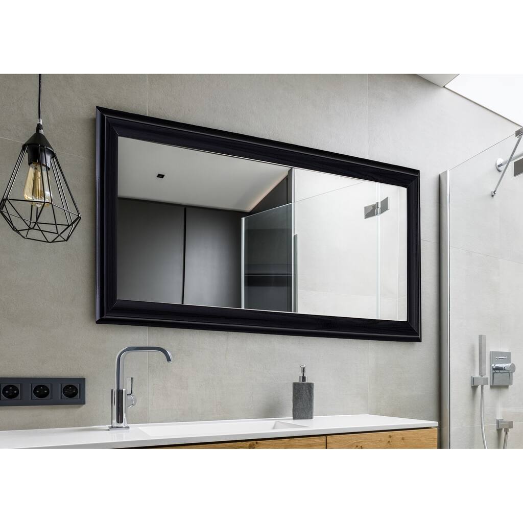 Hitchcock Butterfield Provost Large Black Modern Mirror