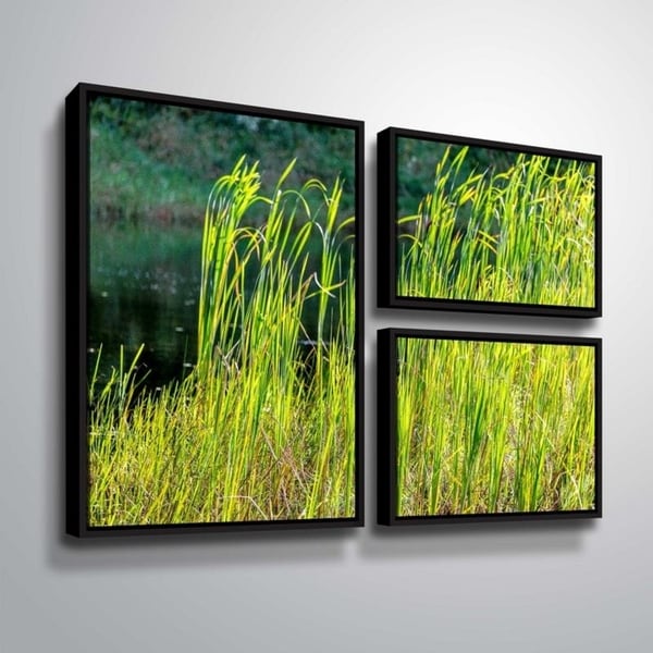 ArtWall Richard James 'Grasses' 3 Piece Floater Framed Canvas Flag Set