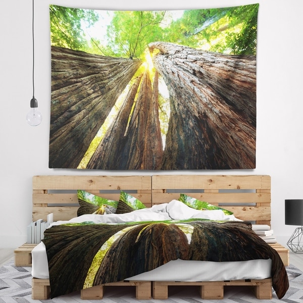Designart 'Sequoia Tree' Photography Wall Tapestry