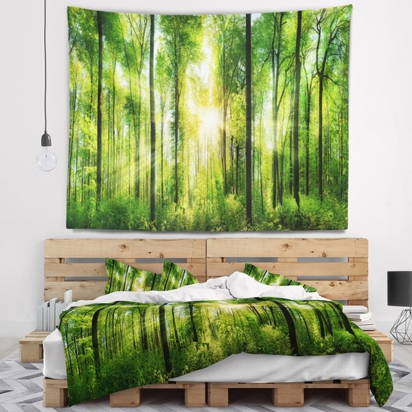 Designart 'Forest with Rays of Sun Panorama' Landscape Wall Tapestry
