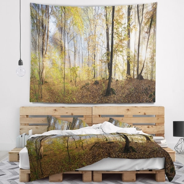 Designart 'Green Autumn Forest in Morning' Landscape Photography Wall Tapestry