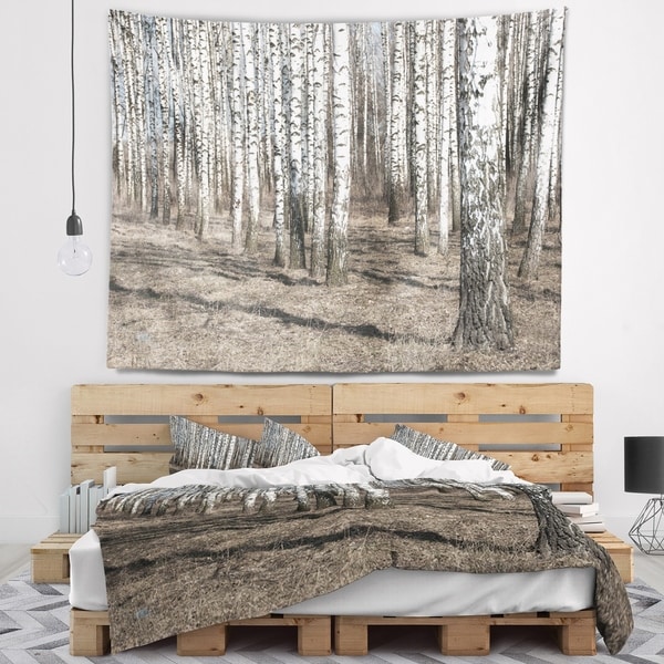 Designart 'Beautiful Dense Birch Forest View' Modern Forest Wall Tapestry