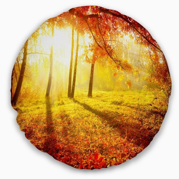 Designart Autumnal Park Landscape Photography Throw Pillow On Sale Overstock 20890067