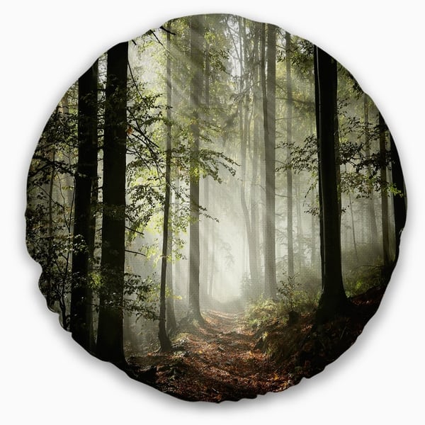 Designart Light In Dense Fall Forest With Fog Landscape Printed Throw Pillow On Sale Overstock 20890389