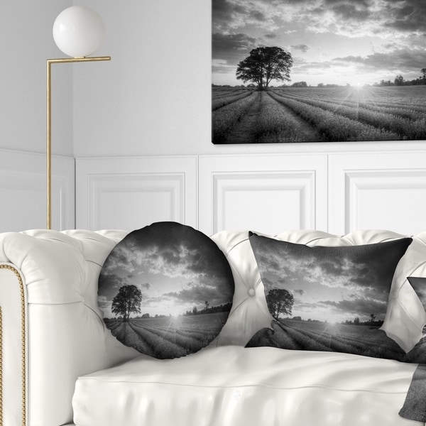 Designart 'Vibrant Black White Lavender Field' Landscape Printed Throw Pillow