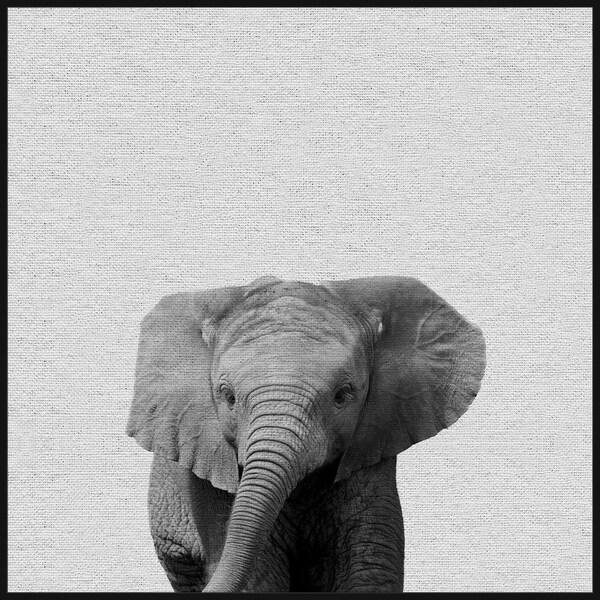 Marmont Hill - Handmade Elephant Surprise II Floater Framed Print on Canvas