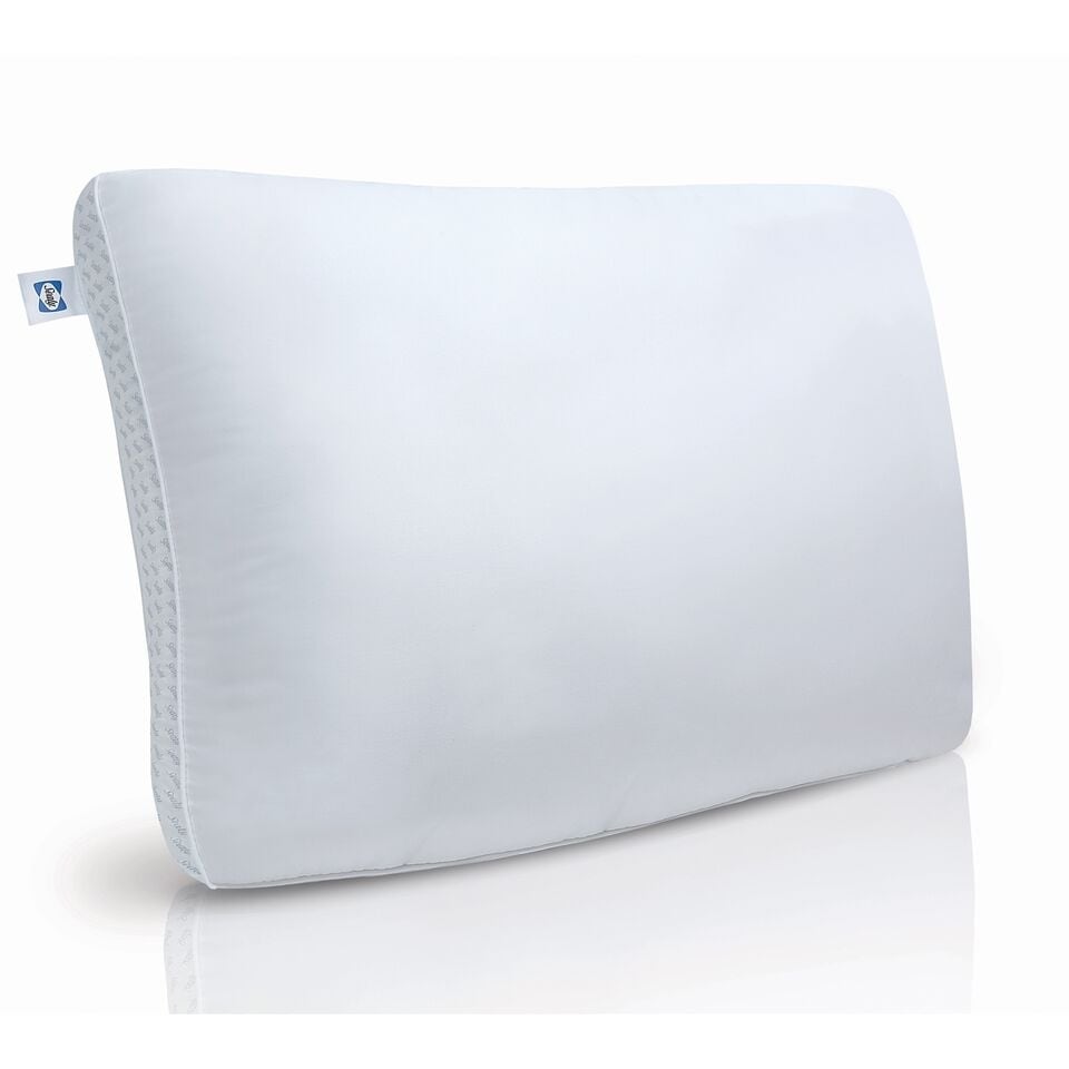 Shop Sealy Memory Foam Fiber Bed Pillow Free Shipping Today