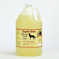 128oz Coyote Urine