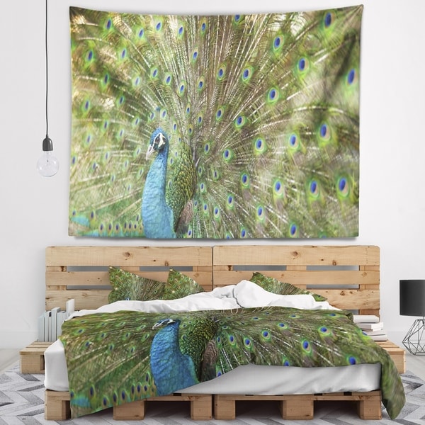 Designart 'Beautiful Peacock with Feathers' Animal Wall Tapestry
