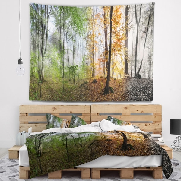 Designart 'Morning Forest Panorama' Landscape Photography Wall Tapestry