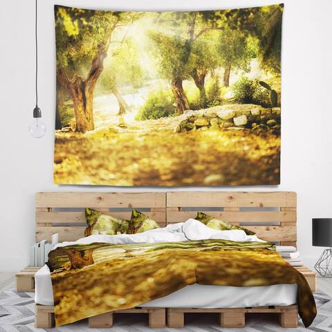 Designart 'Olive Trees' Photography Wall Tapestry
