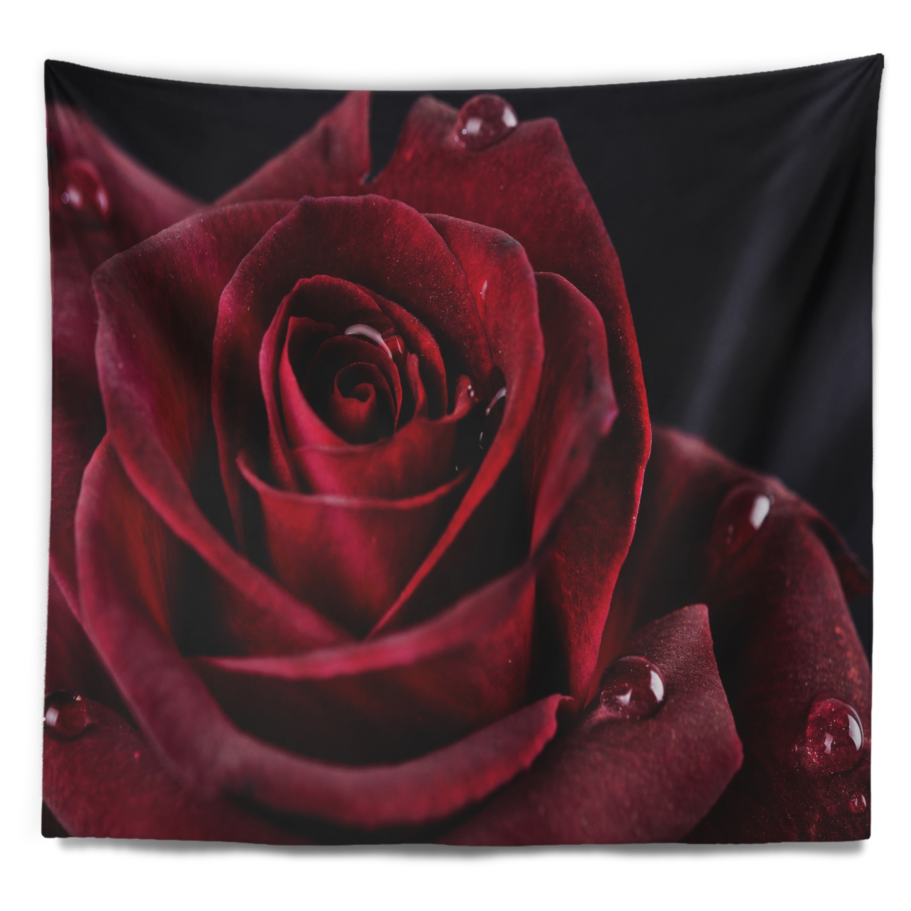 Designart 'Red Rose with Raindrops on Black' Flowers Wall  Small