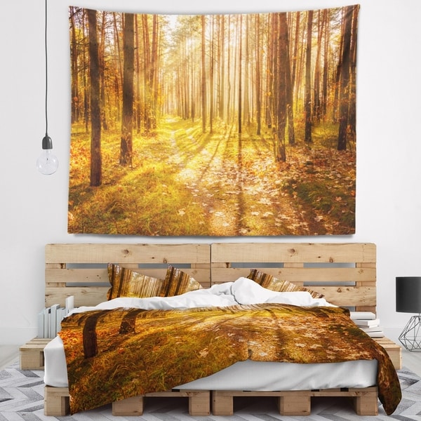 Designart 'Bright Sunlight in Yellow Fall Forest' Modern Forest Wall Tapestry