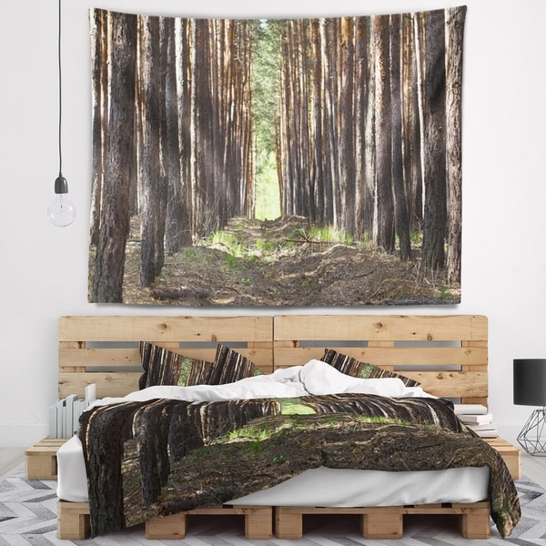 Designart 'Even Rows of Pine Tree Forest' Modern Forest Wall Tapestry