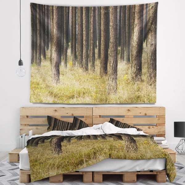 Designart 'Dark Fall Forest with Green Grass' Modern Forest Wall Tapestry