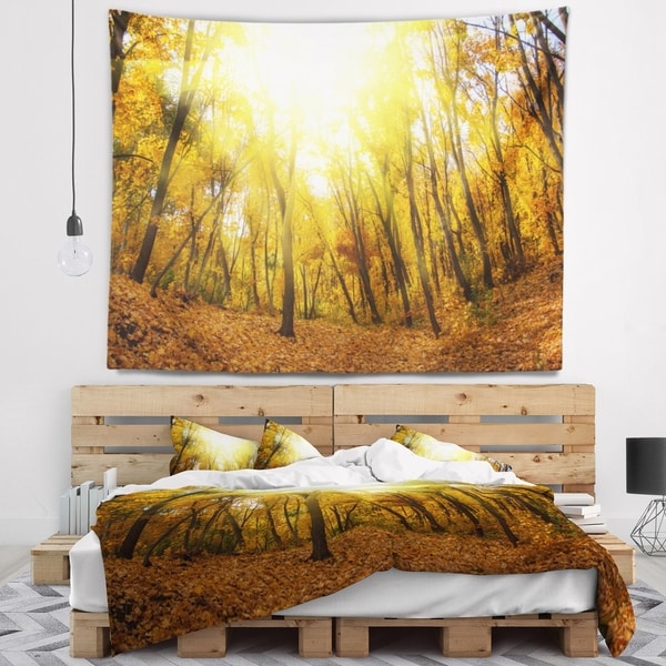 Designart 'Yellow Autumn Forest in Sunlight' Forest Wall Tapestry