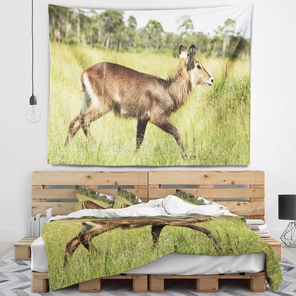Designart 'Waterbuck Antelope in Green Grass' African Wall Tapestry