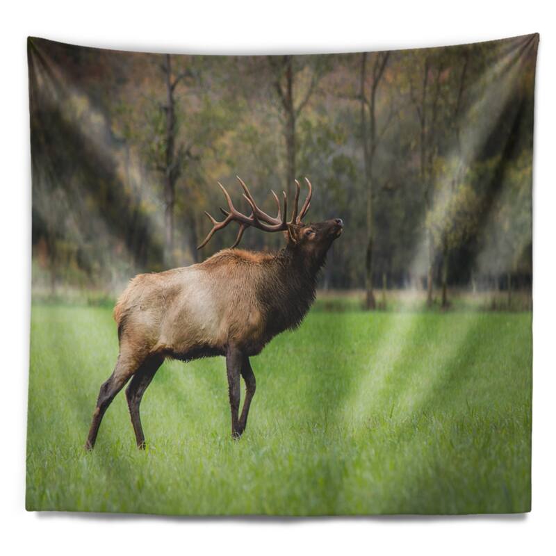 Designart 'Trophy Bull Elk in Green Grassland' Animal Wall Tapestry ...