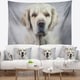 Designart 'Sad Looking Beautiful Dog' Animal Wall Tapestry - Bed Bath ...