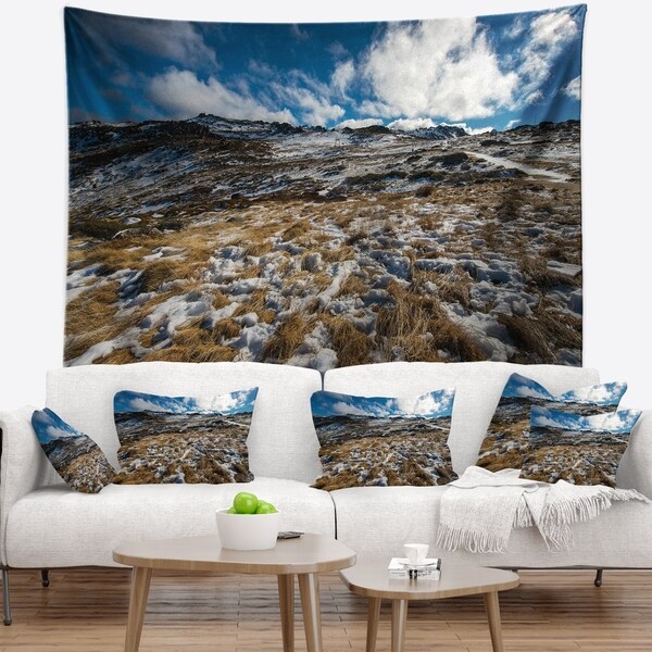 Designart 'Top of Kosciuszko National Park' Seashore Wall Tapestry