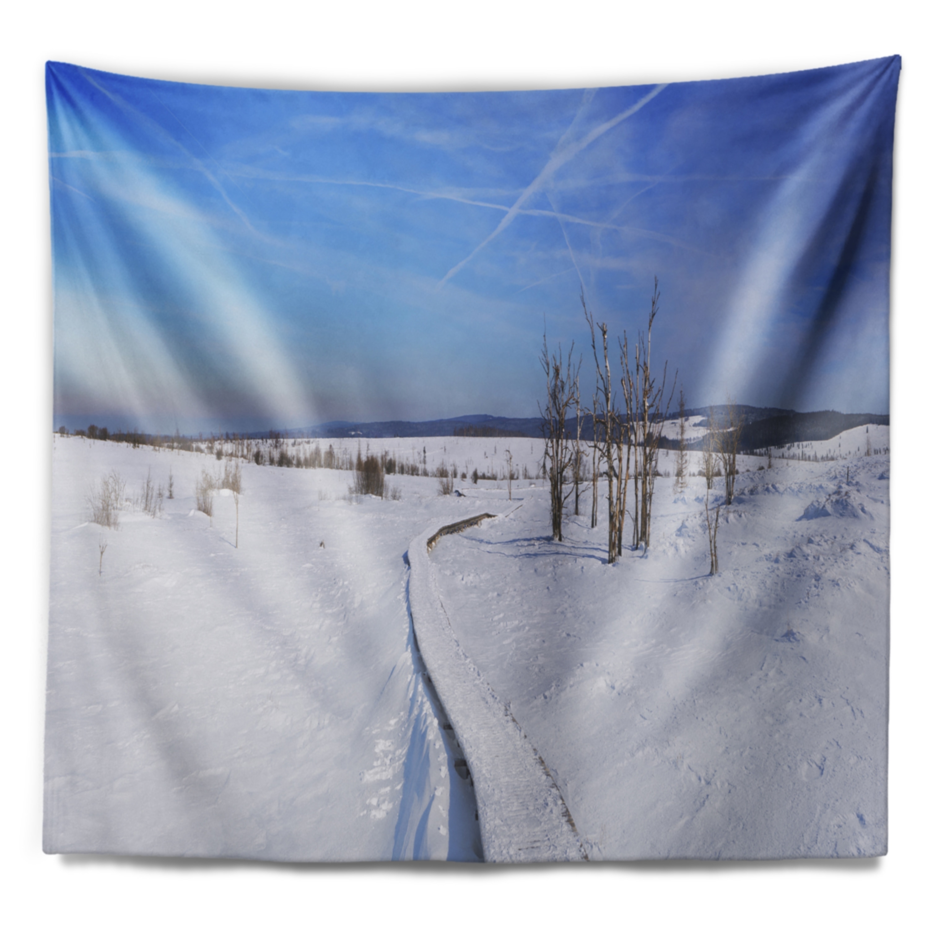 Designart 'Hautes Fagnes in Belgium Panorama' Modern ...