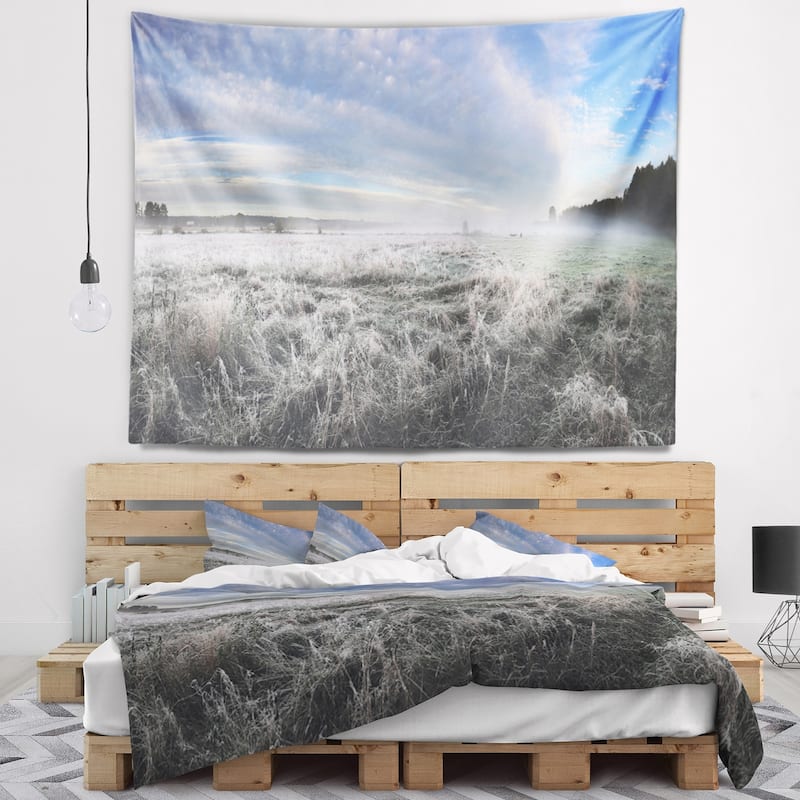 Designart 'hoarfrost On Grass Under Cloudy Sky' Landscape Wall Tapestry 