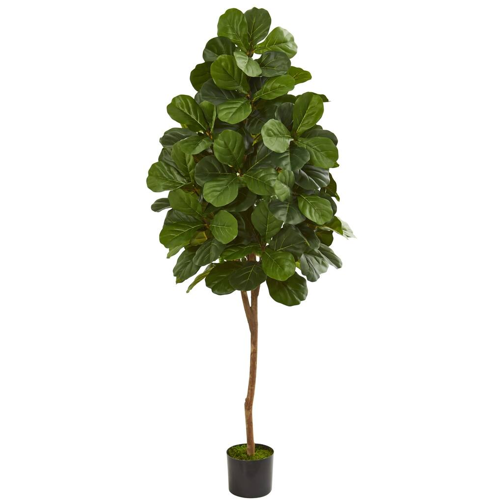 6' Fiddle Leaf Fig Artificial Tree - h: 6 ft. w: 17 in. d: 17 in