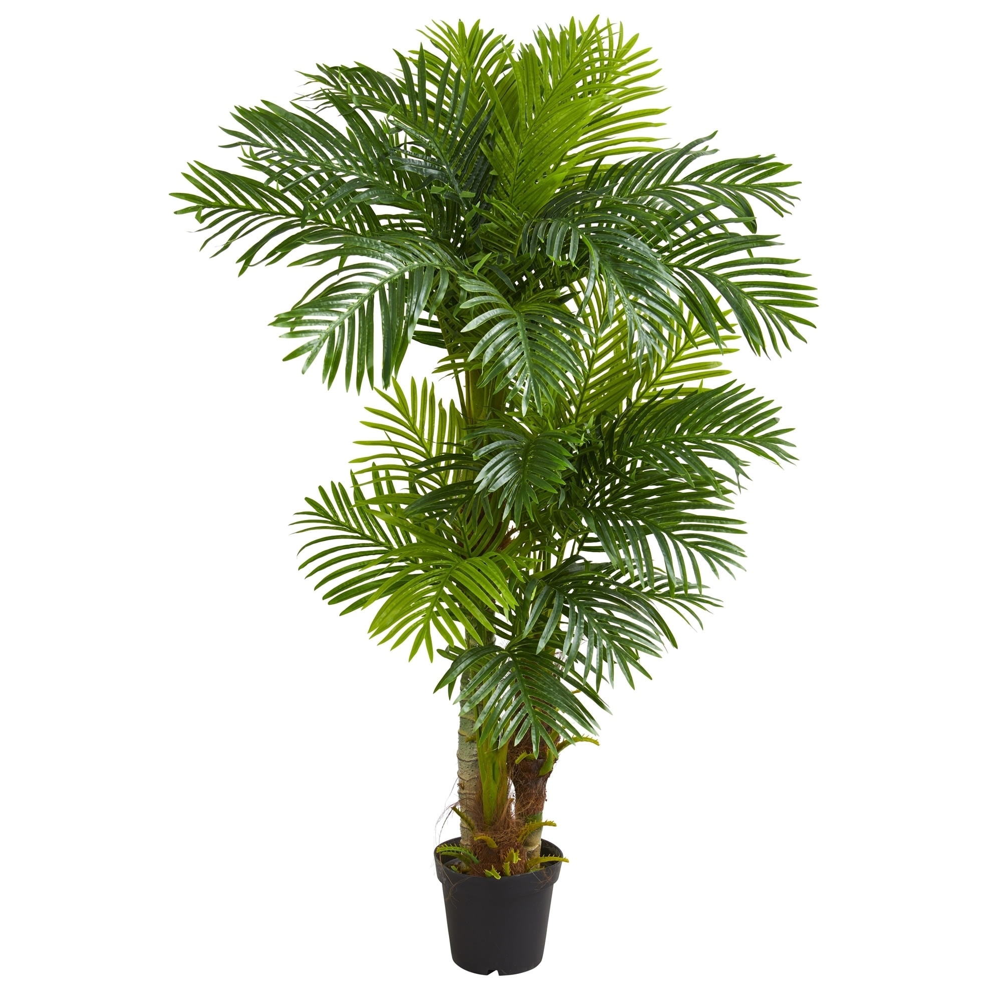 6' Hawaii Artificial Palm - h: 6 ft. w: 10 in. d: 10 in
