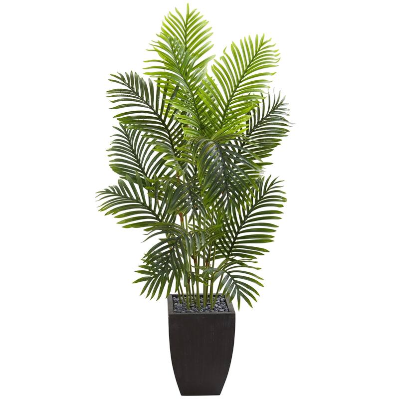 5.5' Paradise Palm Artificial Tree in Square Planter - h: 5.5 ft. w: 28 in. d: 28 in