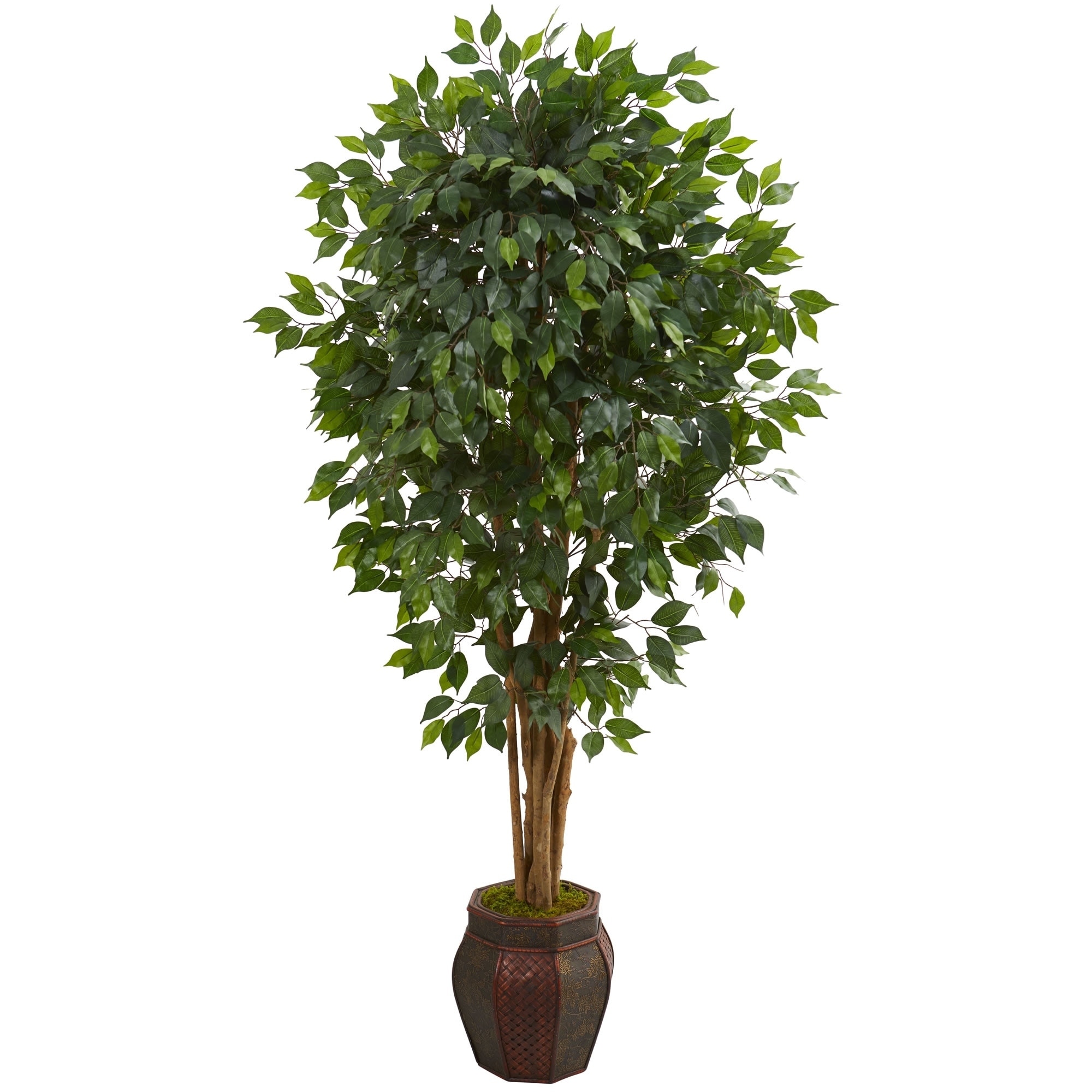 6' Ficus Artificial Tree in Decorative Planter - h: 6 ft. w: 37 in. d: 30 in