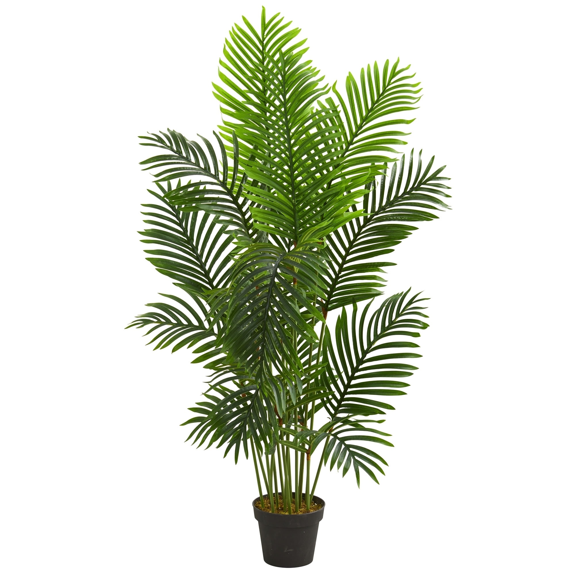 5ft Artificial Raphis Palm Tree on natural stem