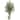 5.5' Paradise Artificial Palm Tree in Sand Colored Planter - h: 5.5 ft. w: 38 in. d: 26 in