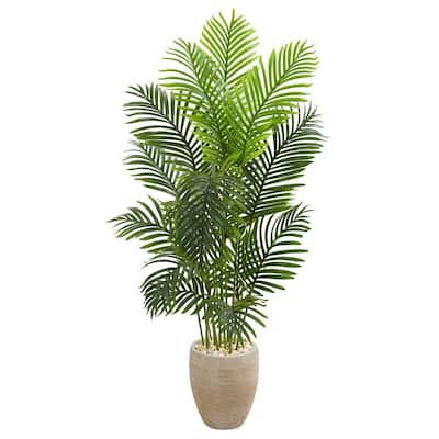 5' Paradise Palm Artificial Tree in Sand Colored Planter - h: 5 ft. w: 28 in. d: 28 in