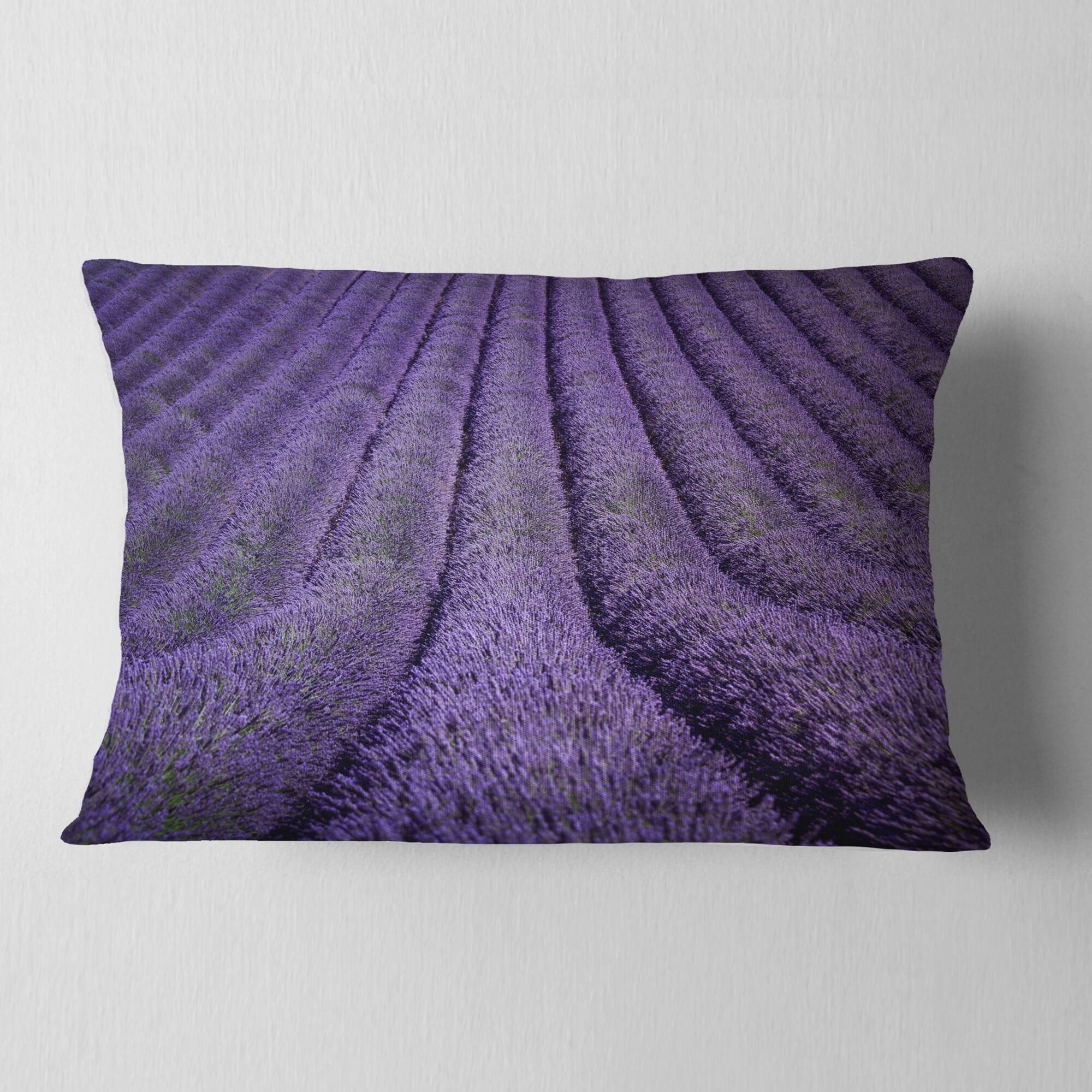 Designart 'Blooming Lavender Flower Texture' Landscape Printed Throw ...