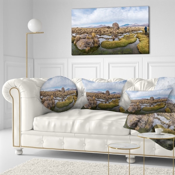 Designart 'Bolivia Volcanoes Panoramic View' Landscape Printed Throw Pillow