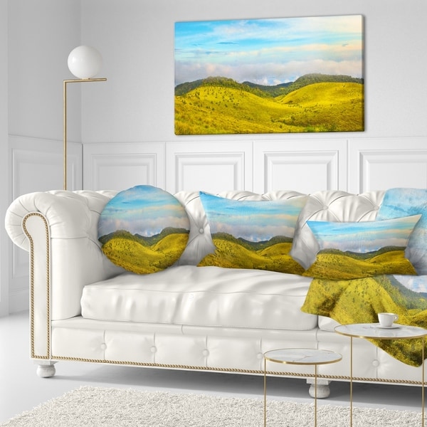 Designart 'discontinued product' Landscape Printed Throw Pillow