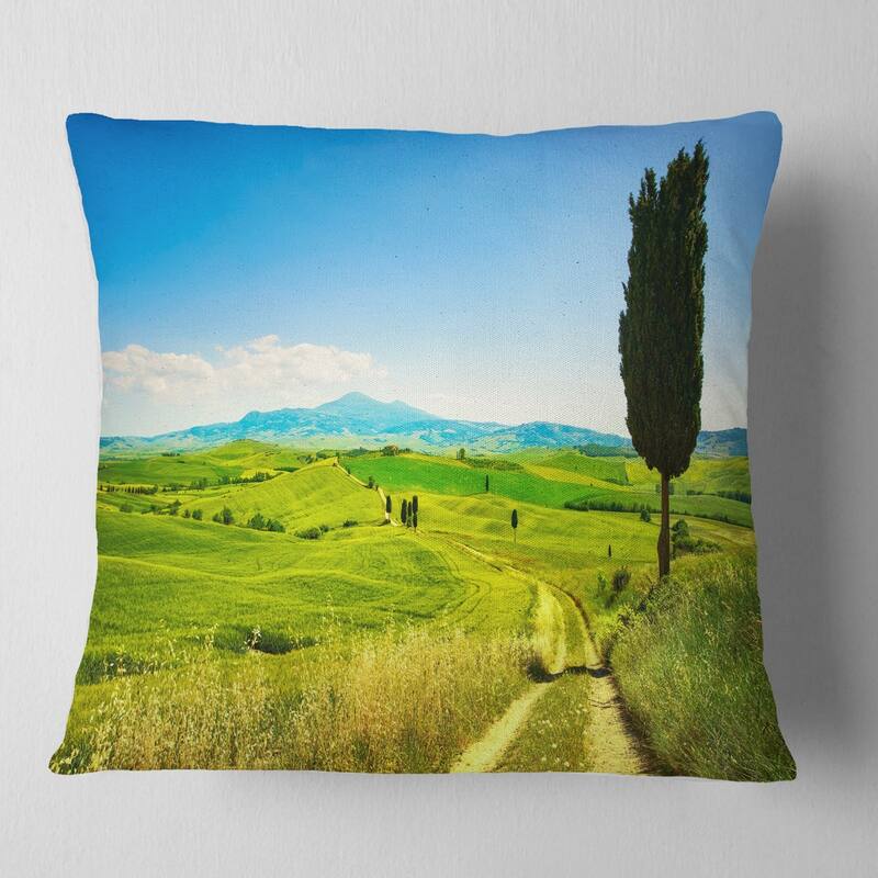 Designart 'Rural Landscape Countryside Farm' Landscape Wall Throw Pillow - Square - 16 in. x 16 in. - Small